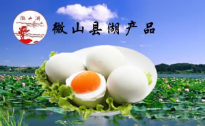 微山湖經(jīng)貿(mào)——一樣的海洋，不一樣的集結號